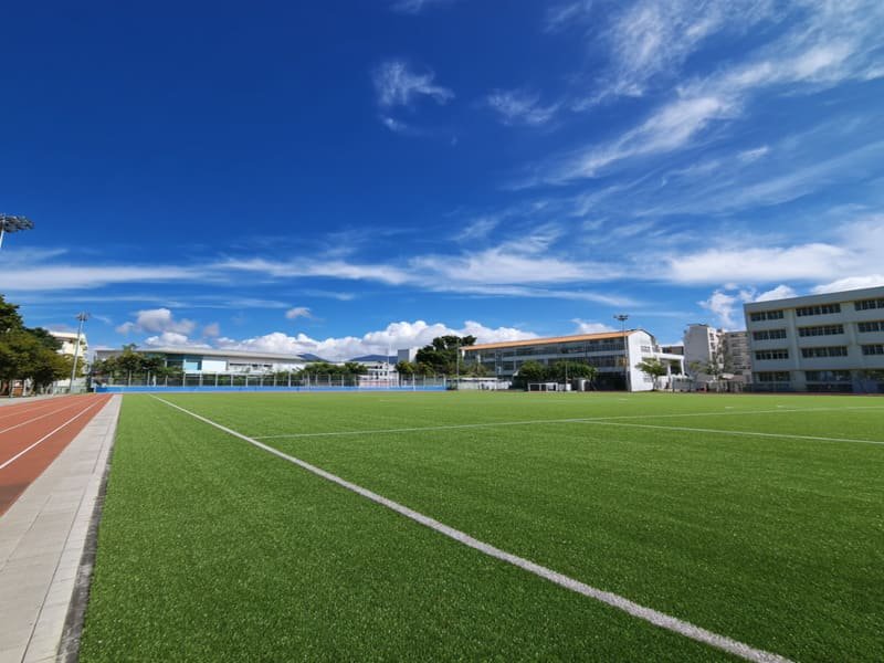 Rumput sintetis yang baik seharusnya tidak berbau setelah hujan