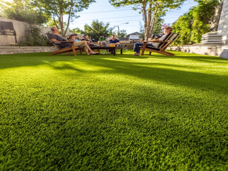 rumput hijau yang sempurna