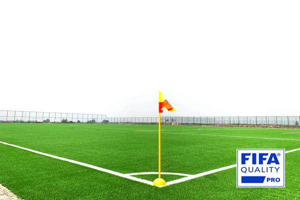 requisitos de mantenimiento profesional