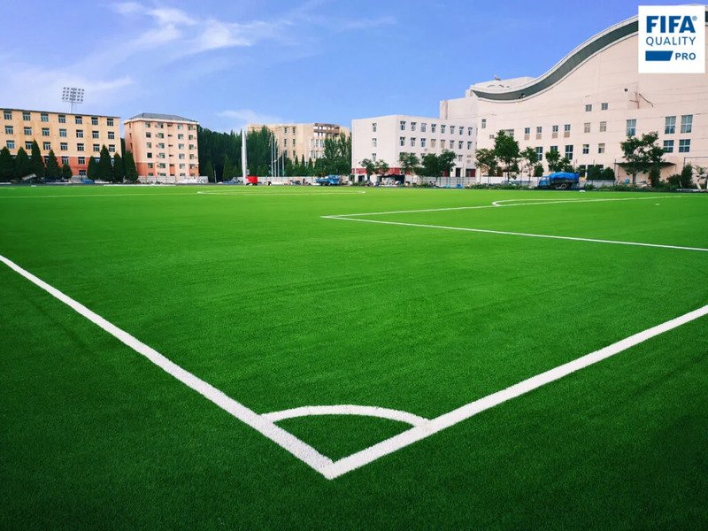 Bao Tou Teachers College 2 1024x768[1]