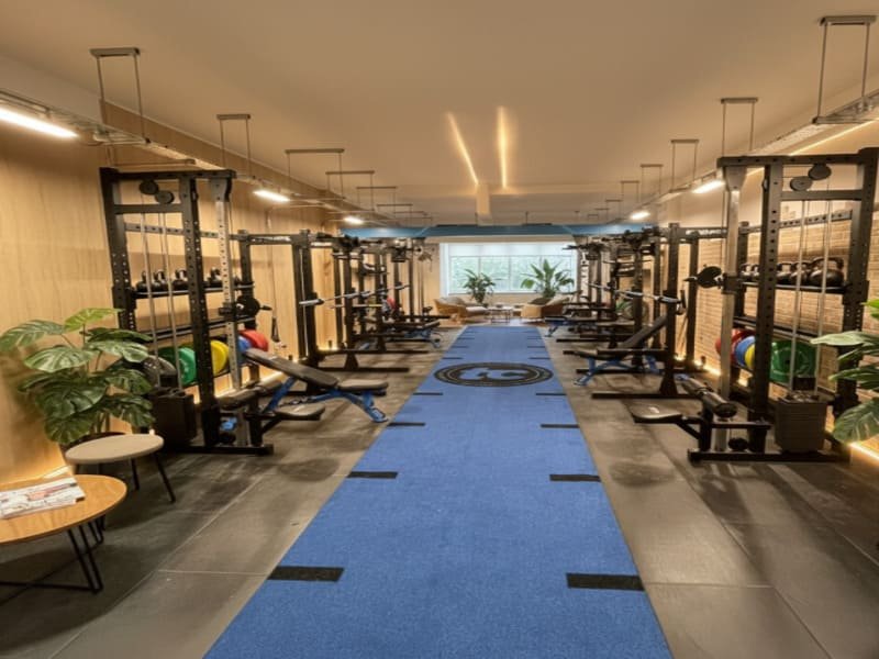 Different turf types for various training styles