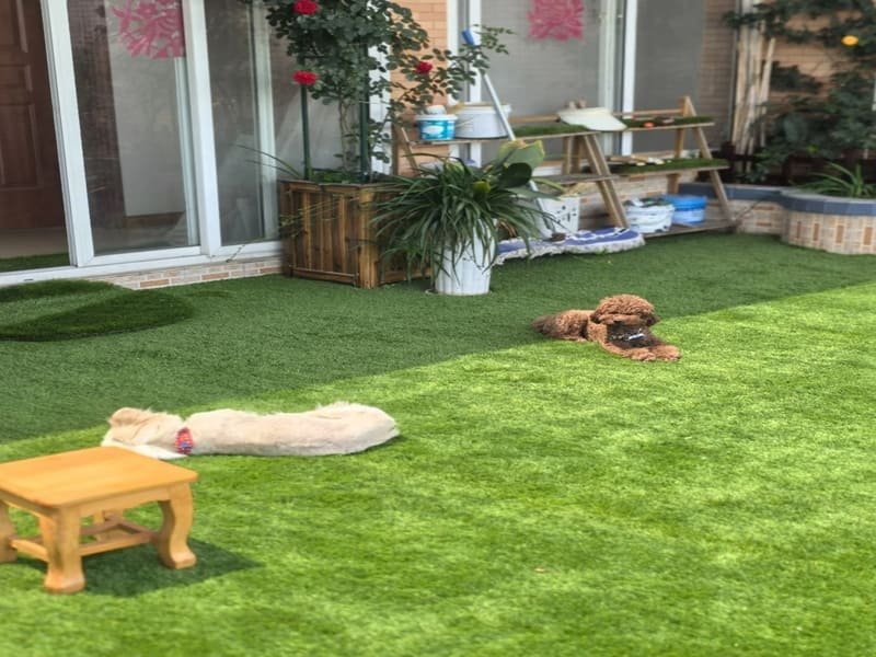 Obraz poklatkowy z procesu instalacji