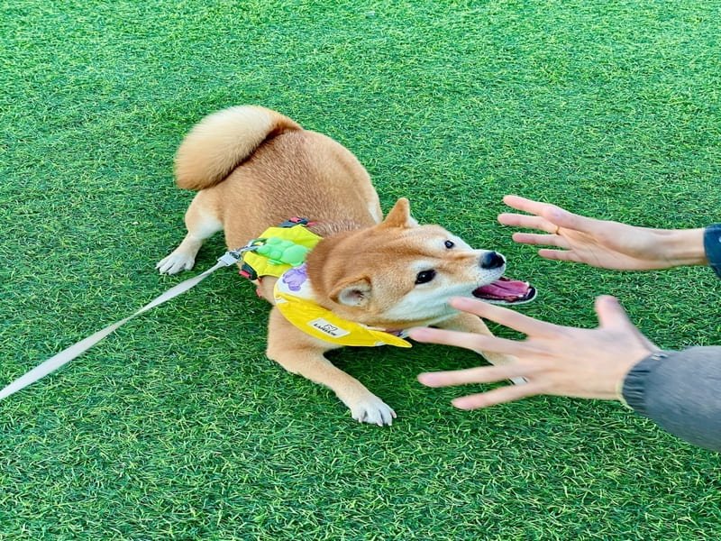 Przekrój warstw instalacyjnych sztucznej trawy