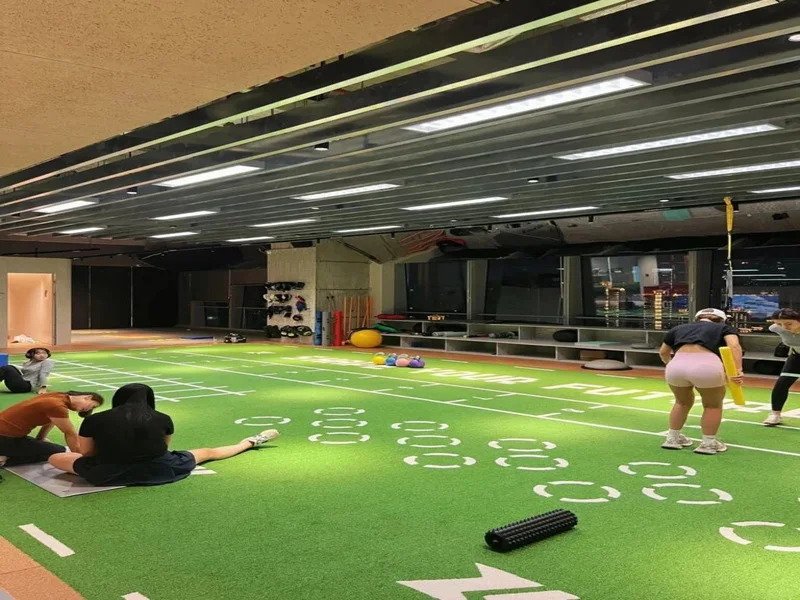 Gym Turf 003366 (1)