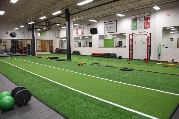 Porównanie grubości darni