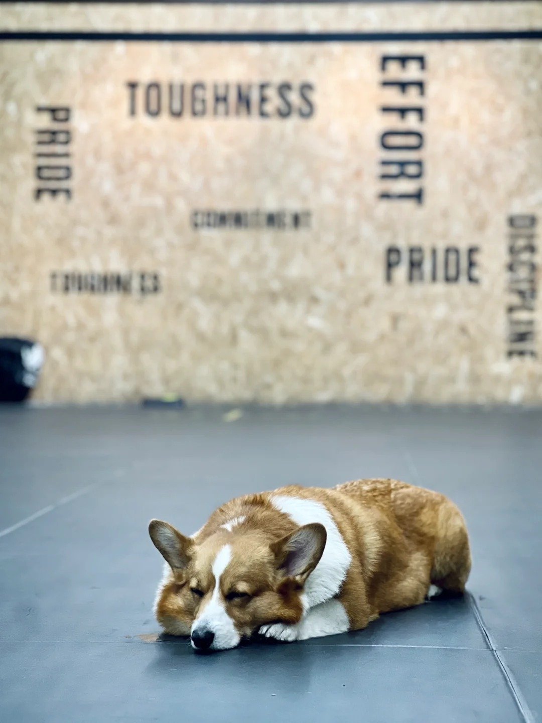 rubber flooring benefits