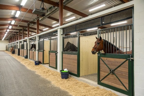 الحفاظ على جفاف مرابط الخيول