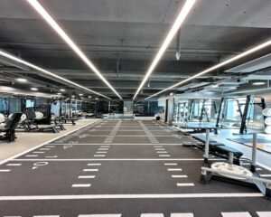 微信图片 20250529190114[1]