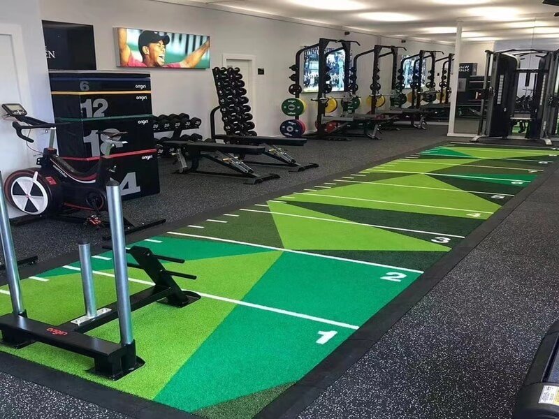 Transition strips holding turf