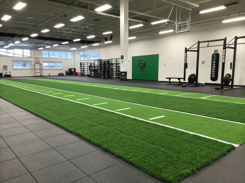 Solusi Rumput Olahraga Khusus