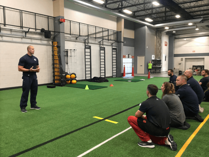 عرض السلامة لامتصاص صدمات العشب المبطّن