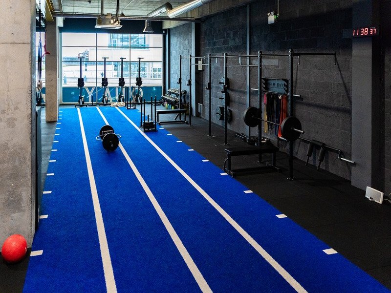 اختبار النظافة الصحية لأنظمة العشب المبطنة