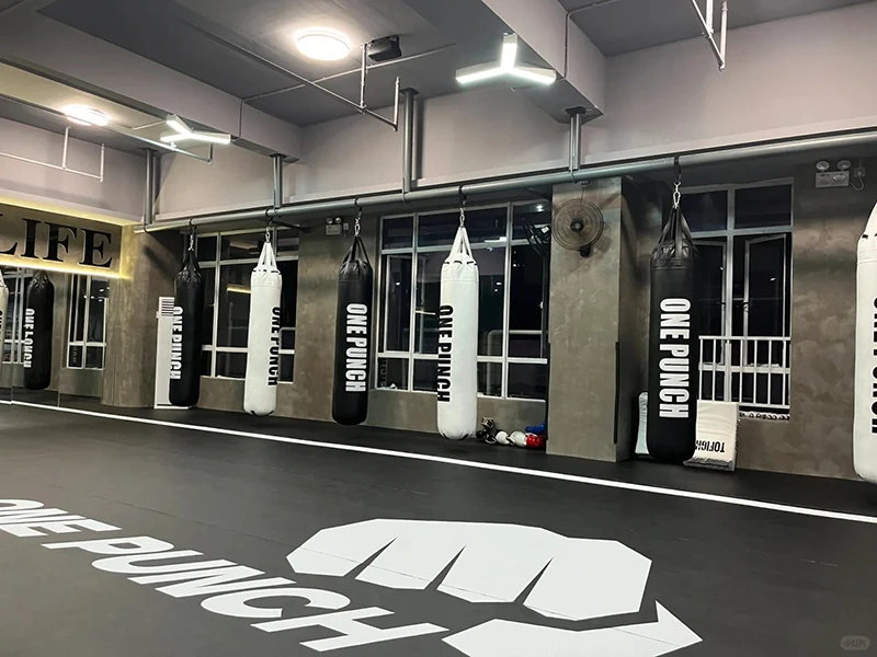 5 Kelas Kelompok & Zona Pelatihan Multi Disiplin