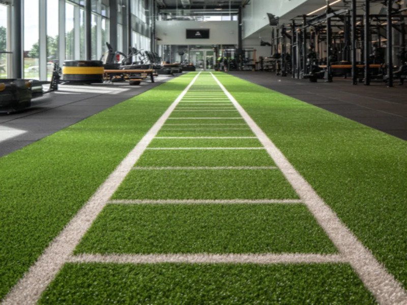 Benjamin7791flores 60918 Full View Of A Premium Gym Turf Lane D Fa254829 7efe 4964 Af44 016cb925de53 (1) (1)