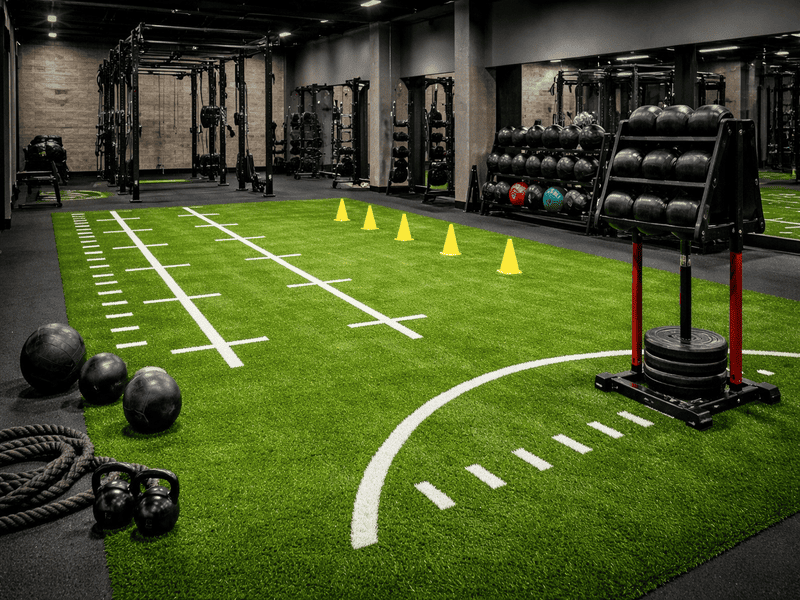 Thermal camera comparison of natural vs artificial grass