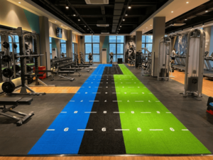 Gym Turf (6)