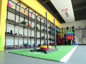 Gym Turf (1)