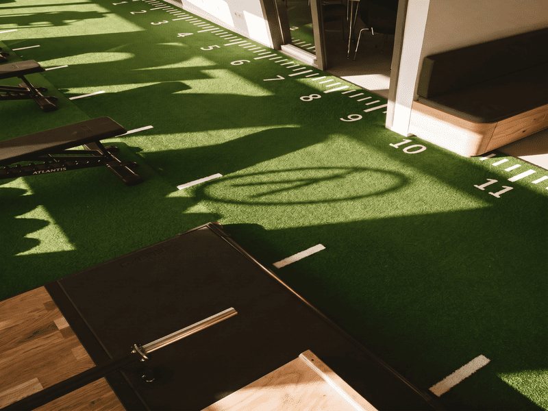 Tappeto erboso da palestra (2)