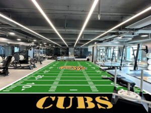 Gym Turf (1)