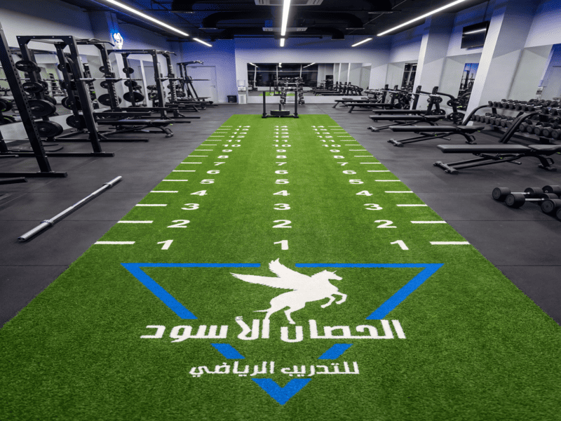 GymTurf (6)