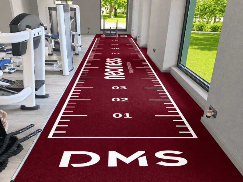Césped de gimnasio (2)
